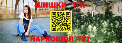 гашик Кинель