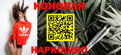 гашик Кинель