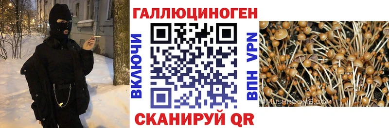 Галлюциногенные грибы прущие грибы  Тобольск 