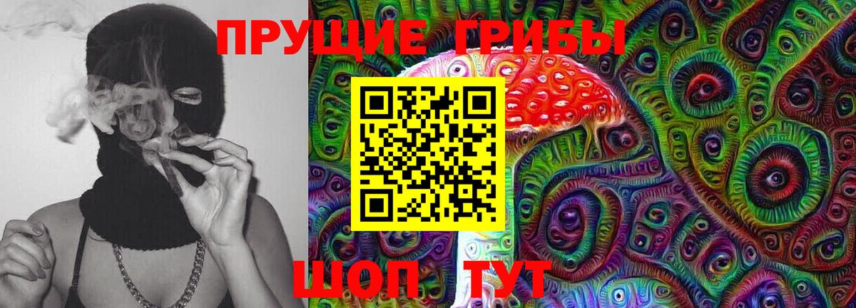Галлюциногенные грибы мицелий  Галлюциногенные грибы мицелий  Тобольск  Вход с VPN 